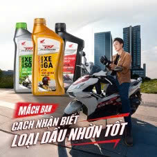 Tin Tuc 2