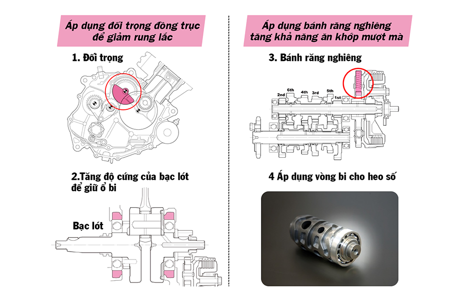 anh dong co